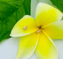 925 Sterling Silver Gold Plated Plumeria Stud Earrings - Hawaiian Earrings - Ladies Stud Earrings.  Gifts For Her.  Plumeria Earrings. Womens Stud Earrings