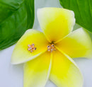 925 Sterling Silver Plumeria Stud Earrings - Hawaiian Earrings - Ladies Stud Earrings.  Gifts For Her.  Plumeria Earrings