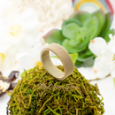 Stainless Steel 18K Gold Plated Mesh Ring